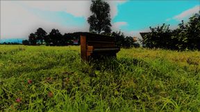 GM Eden new in door lights