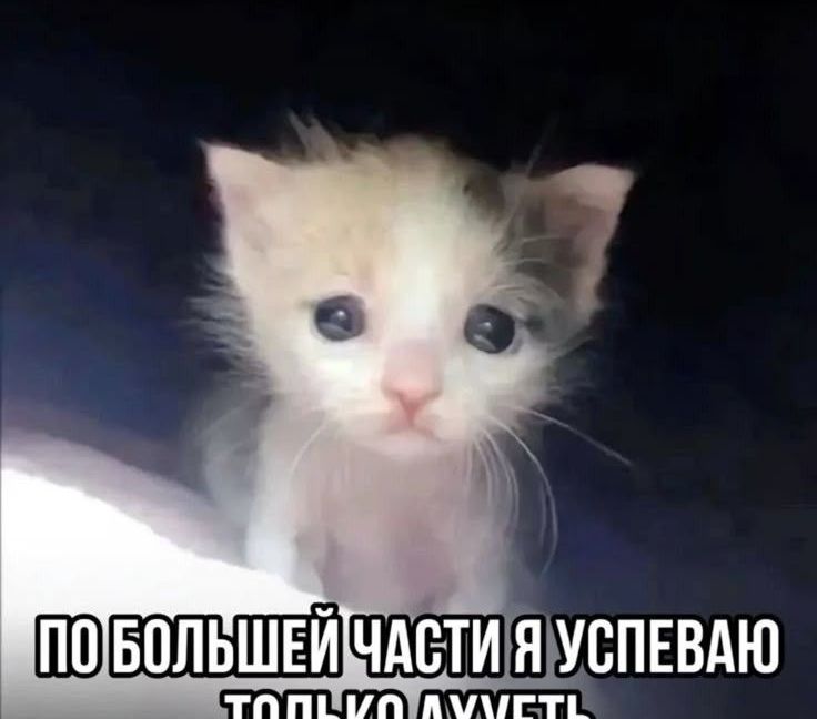 CZ_FrontLine_GameMode