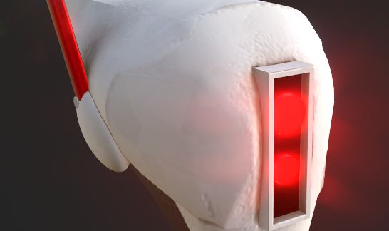 Blood and tears SPECTER