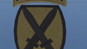 10th Mountain Division Badge