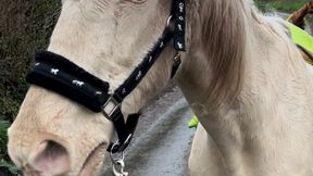 Longmoor Missions Testing