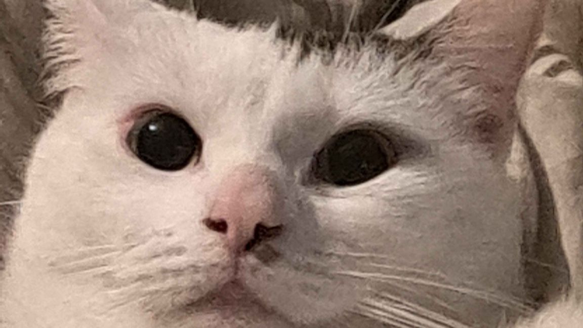 SH Realism Hardcore Bakhmut