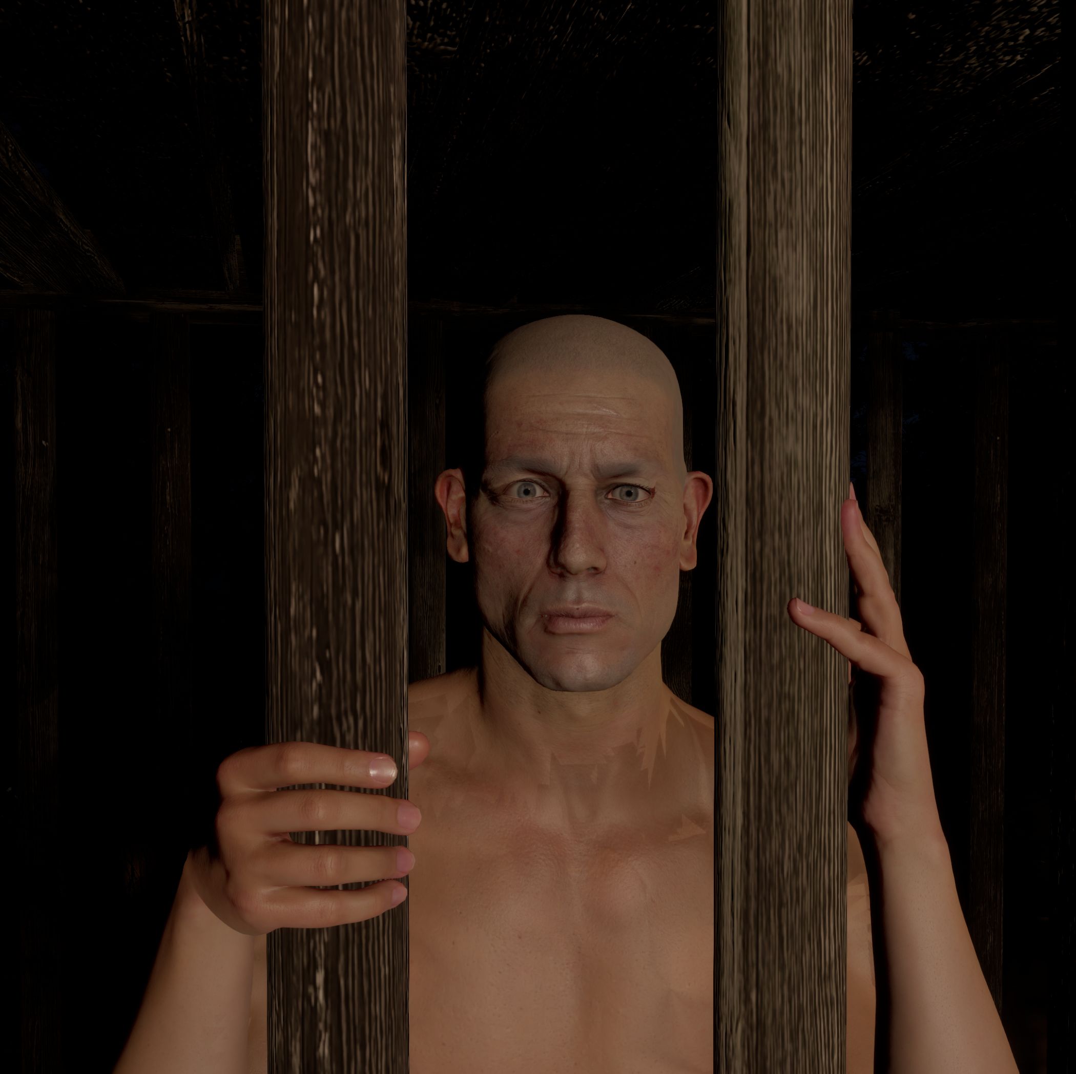 EoH Wooden Cage preview