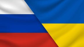 Fluffins Ukraine vs Russia