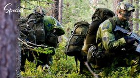 Aurora Nova - Special