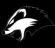 BadgerBattalion Custom Patches