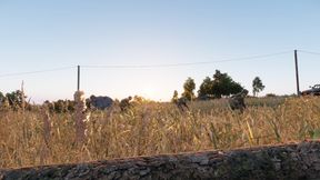 OP_IronTempest_Scenario