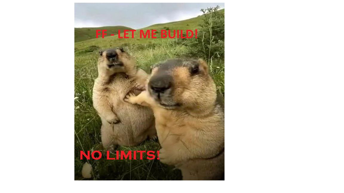 FF-Let-Me-Build-No-Limits