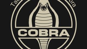 Tactical Strike Force Cobra