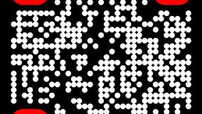 Wagner_Group_Travel_Part1