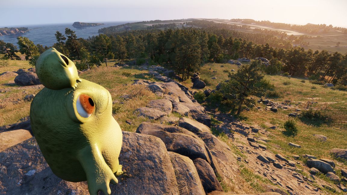 MM Frog