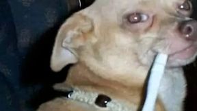 Modded Conflict Base