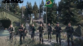 Brazilian defense forces - BDF