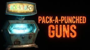 Pack-A-Punched Guns