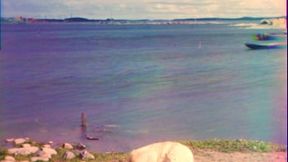 Breaching Explosives Test