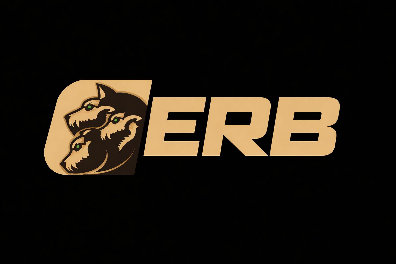 CERB ACE Bundle preview