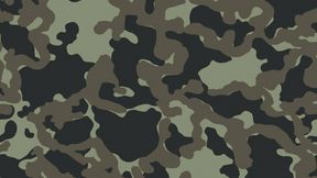 CDF TTsKO VKPO Layer 8