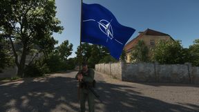 NATO CARYABLE FLAG