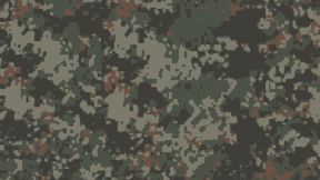 Chernarus Defence Forces. CDF