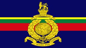 Fluffins Royal Marines