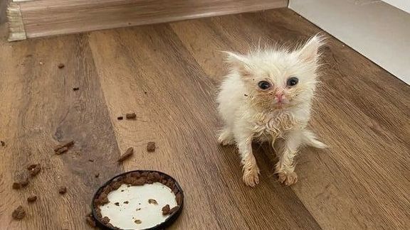 Main Stuff To Arsenal