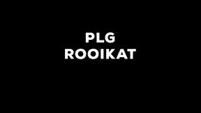 PLG Rooikat