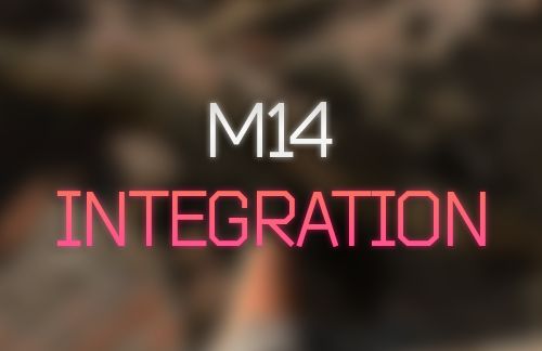 FF - M14 Rifle Integration