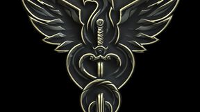 Warfare Syndicate Mod