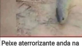 Overthrow Faster Time