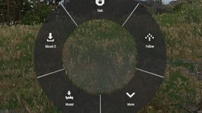 Silent Command Animations