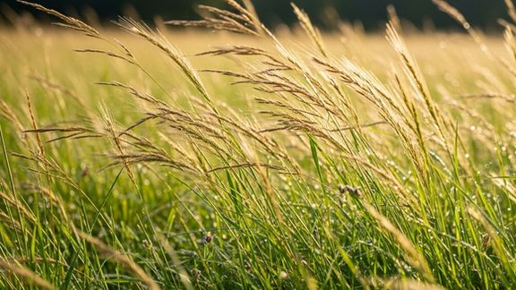 Pandas Better Grass Materials