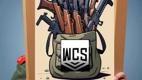 Frameworks WCS Weapons