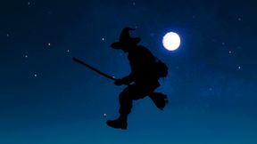 Flying Broom