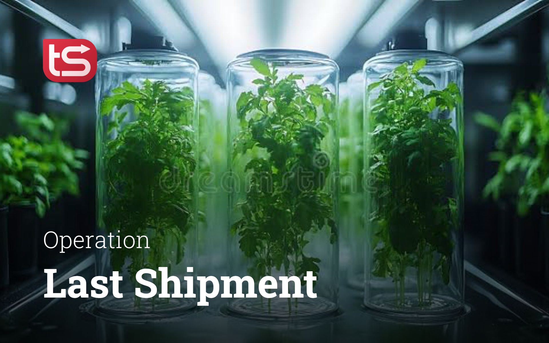 Last Shipment