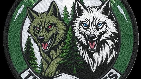 TFTPatches_2