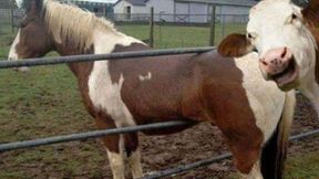 Katlas Tactical COOP Missions