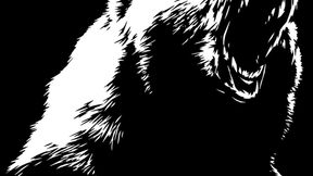 Siberian Bears Conflict Hard