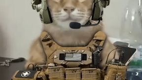 44TH Fallujah Setting