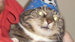 Conflict Persistent Rank