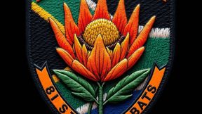 81St Parabat Wake Island