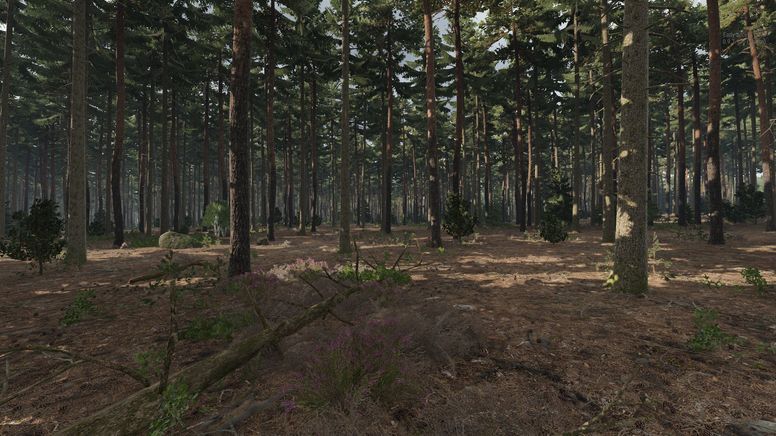 Small Conflict Seitenbuch