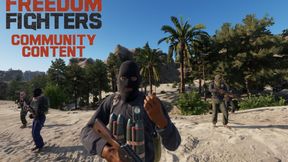 Freedom Fighters Insurgency