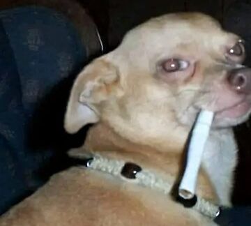 Modded Conflict Base