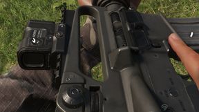 ACRO on Carry Handle Mount