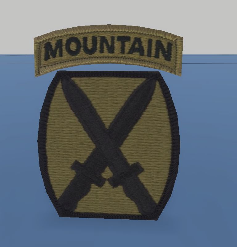 10th Mountain Division Badge