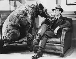 Conflict with Civilians