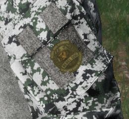 Rebel Dog Regiment patches