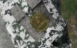 Rebel Dog Regiment patches