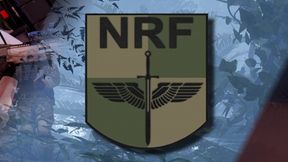 Server Banner - 11th NRF