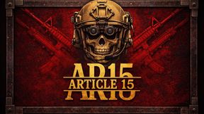 Article 15 Patches